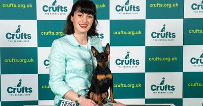 County Durham dog owner's delight as 'cheeky' pooch scoops Best in Breed award at Crufts