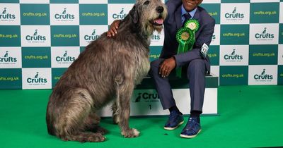 Soul singer's journey from topping the charts to Crufts final