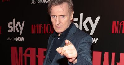 Liam Neeson surprised at no Oscar wins for The Banshees of Inisherin