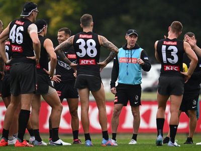McRae's Magpies set sights on AFL 'Predator' Geelong