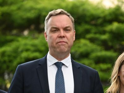 Greens accuse Labor of 'vote-buying' in key Sydney seat