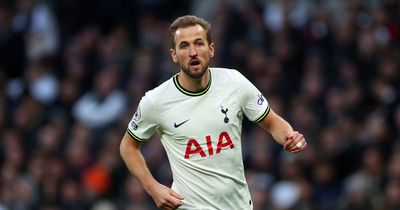 Tottenham news: Man United's Harry Kane transfer problem as Rio Ferdinand prediction made