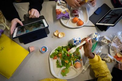 Republican lawmaker provokes outrage after voting against free school meals, saying ‘hunger is relative’