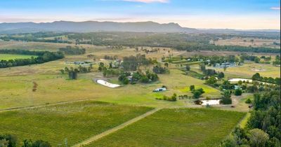 Boutique vineyard at Lovedale expected to fetch upwards of $2 million