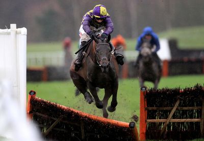 Malinello: Horse dies on first day at Cheltenham as animal welfare groups react