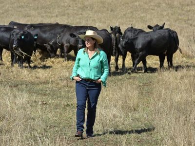 Farmers get clear steer on carbon and climate change