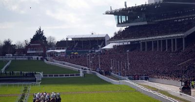 Cheltenham Festival 2023: First horse death after horror fall in final race