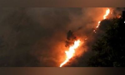 Forest fire breaks out near Kodaikanal hills in Tamil Nadu's Dindigul