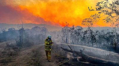 NSW Ministers Dugald Saunders and Paul Toole defend not visiting Tambaroora fireground