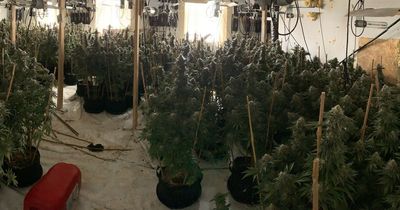 Large cannabis factory found in Bridgend town centre