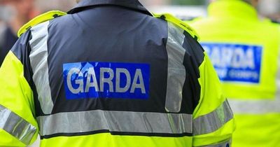 Gardaí warn public to watch out for 'violent' gang as they release details after incidents