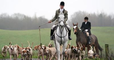 Houston-based Lanarkshire and Renfrewshire Foxhounds to be disbanded
