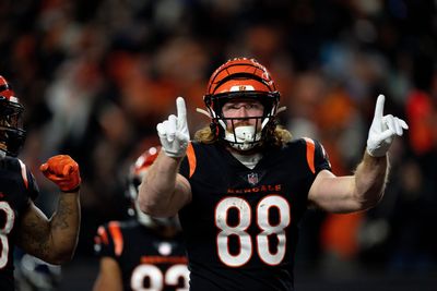 Bengals TE Hayden Hurst agrees to deal with Panthers in free agency