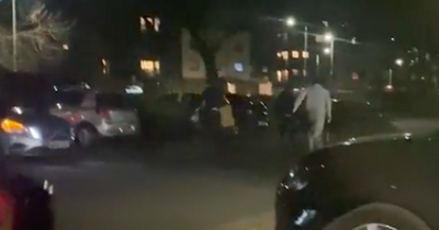 Moment Edinburgh masked gang caught ripping part off a car outside homes