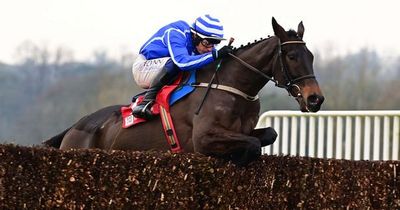 Energumene romps to Queen Mother Champion Chase victory to become dual Cheltenham winner as Edwardstone flops