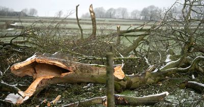 Horror photos show devastation after a 'tornado' tore through a UK village
