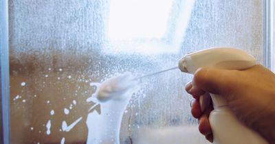 Mum praises 'magic' £1.75 cleaning item that leaves streaky shower doors sparkling