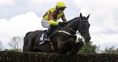 'Pick your horse' ahead of the Cheltenham Gold Cup