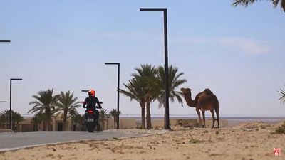 Watch This Guy Ride His Zero SR/F In The Tunisian Desert