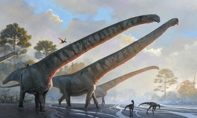 ‘Gargantuan’: China fossils reveal 70-tonne dinosaur had 15-metre neck