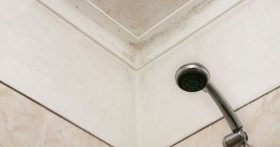 Man kept falling in shower as he waited 19 months for repairs