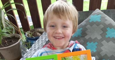 Boy, 3, dies after dad accidentally reverses over him with a ride-on lawn mower