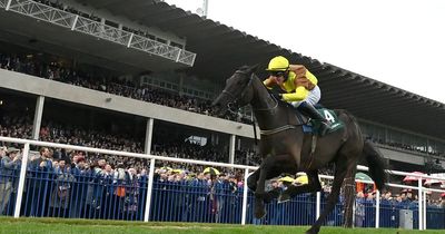 Cheltenham Gold Cup 2023: Select the winner with our new Pick Your Horse tool