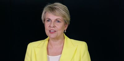 'A policy aesthete': a new biography of Tanya Plibersek shows how governments work – and affect people's lives