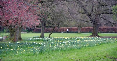 Liverpool Council to trim back grass cutting across the city