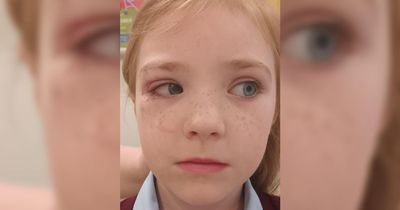 Mum's horror as dog attacks daughter, 6, on walk to school