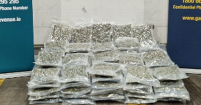 Gardai arrest man after major search operation in Kildare led to €1.1m cannabis haul