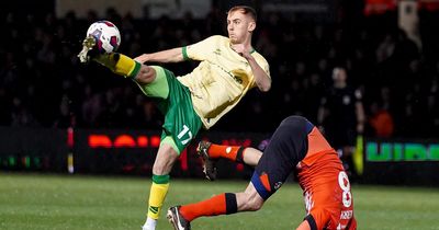 Bristol City player ratings vs Luton: Sykes and O'Leary come out with credit after tough evening