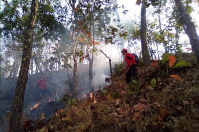 National Environment Board bans burning across North