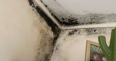 Mum and two kids trapped in 'squalid' mouldy flat and 'plagued by sewage floods'