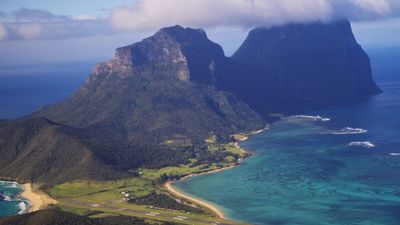 Most of Lord Howe Island off limits to visitors due to 'highly infectious' plant disease myrtle rust