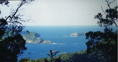 New Zealand earthquake: Huge tremor rocks region amid 'hazardous tsunami' warning