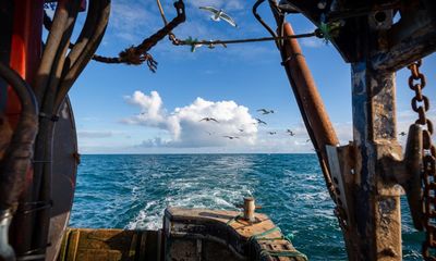 ‘Phenomenal loophole’ in quotas could lead to massive overfishing