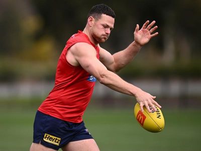 Steven May out injured as Dees take on 'Dinosaur Dogs'