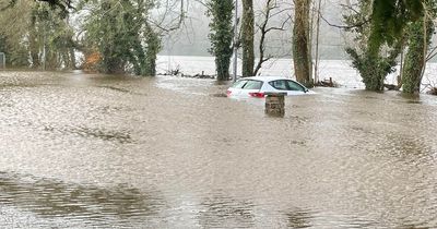 Tourists stranded in Wales after car gets stuck in flood
