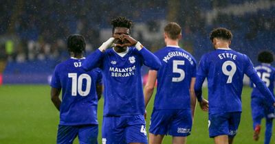 Cardiff City have an awkward and ungainly cult hero in their midst and everyone loves him