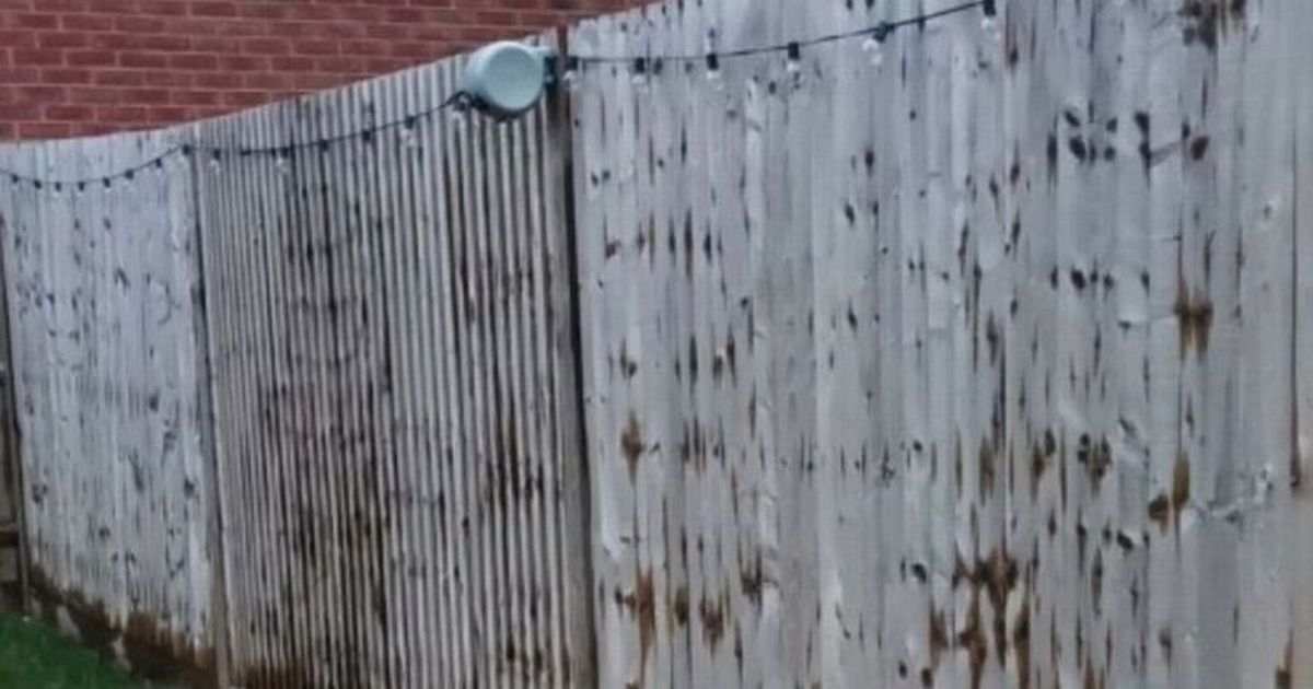 Woman hits out at neighbour for staining her fence…