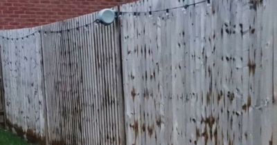 Woman hits out at neighbour for staining her fence 'without permission'