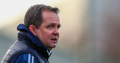 Waterford boss Davy Fitzgerald down seven key men for Kilkenny trip
