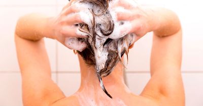 Hairdresser says we've been using shampoo 'wrong' and gives expert care tips