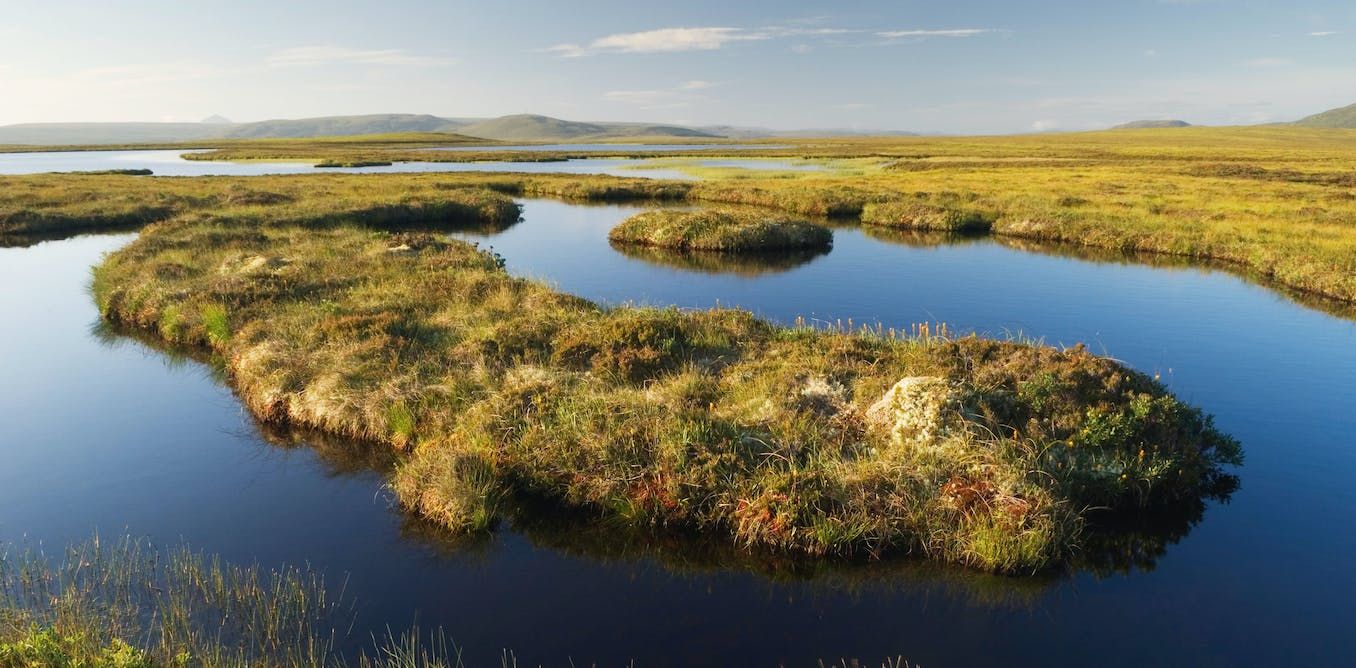How art inspired by peatlands can help us confront the…