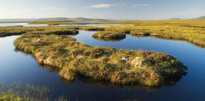 How art inspired by peatlands can help us confront the climate crisis