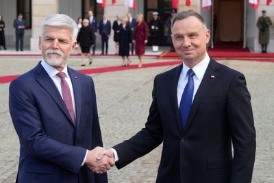 Polish, Czech leaders discuss regional security, energy