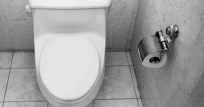 Man sparks disgust by putting toilet seat in dishwasher for 'easy cleaning' - with dirty plates