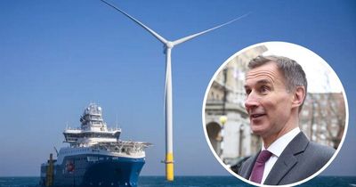 Orsted committed to 'green-lighting' £8b Hornsea Three offshore wind farm despite Budget disappointment