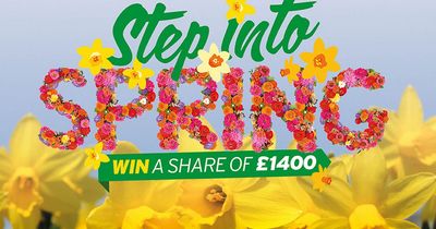 Step into Spring and win a share of £1400 B&Q vouchers!